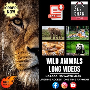 500+ Wild Animals Long Videos